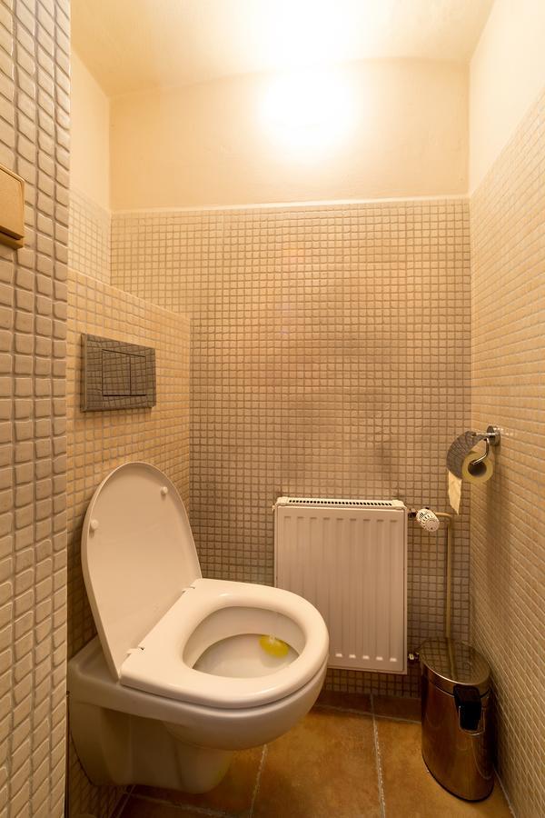 Pension Cortes Cesky Krumlov Bagian luar foto
